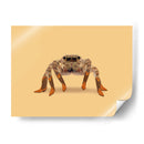 Lydia, la araña vaquera con las piernas más largas - Anyone Can Yeehaw | Cuadro decorativo de Canvas Lab