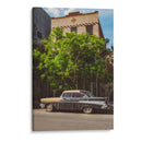 Paseo en Brooklyn - Bethany Young | Cuadro decorativo de Canvas Lab