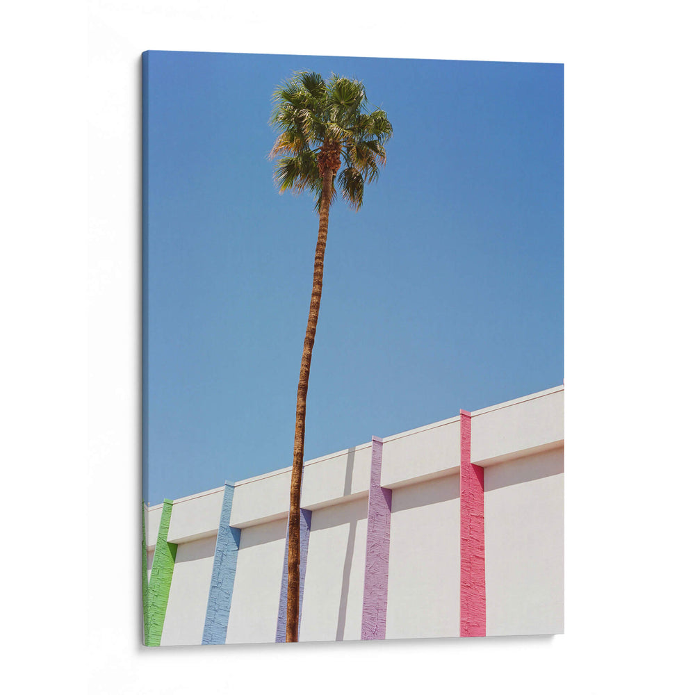 Palm Springs II - Bethany Young | Cuadro decorativo de Canvas Lab