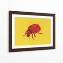 Mariquita - Anyone Can Yeehaw | Cuadro decorativo de Canvas Lab