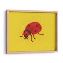 Mariquita - Anyone Can Yeehaw | Cuadro decorativo de Canvas Lab