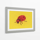 Mariquita - Anyone Can Yeehaw | Cuadro decorativo de Canvas Lab