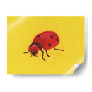 Mariquita - Anyone Can Yeehaw | Cuadro decorativo de Canvas Lab