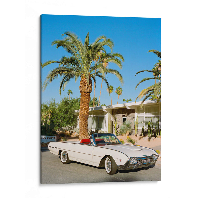 Thunderbird de Palm Springs - Bethany Young | Cuadro decorativo de Canvas Lab