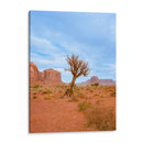 Valle de los Monumentos XI - Bethany Young | Cuadro decorativo de Canvas Lab