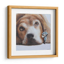 Cuadro decorativo de Canvas Lab