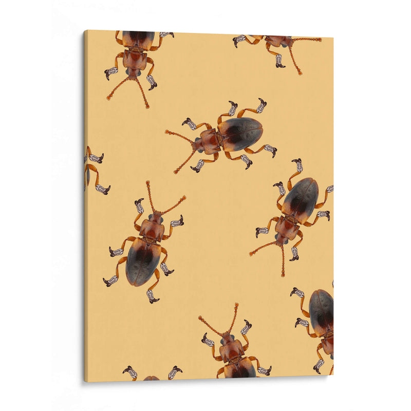 Billy El Escarabajo con Botas - Anyone Can Yeehaw | Cuadro decorativo de Canvas Lab