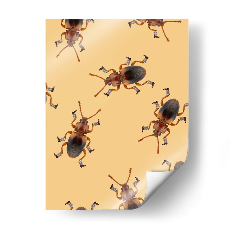 Cuadro decorativo de Canvas Lab