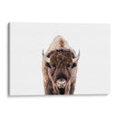 Bisonte - Kathrin Pienaar | Cuadro decorativo de Canvas Lab