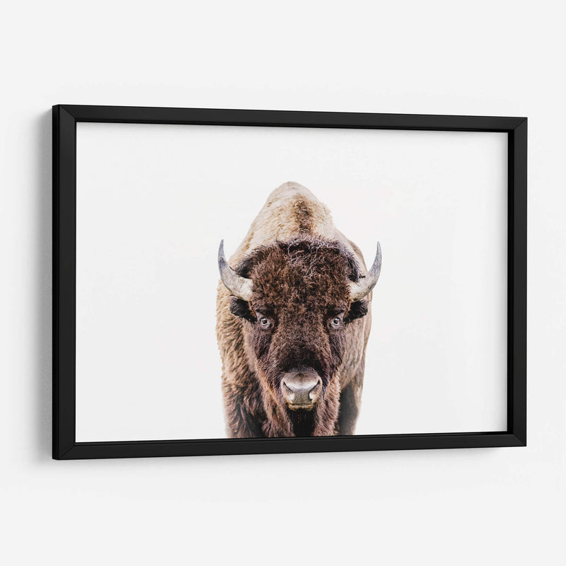 Cuadro decorativo de Canvas Lab