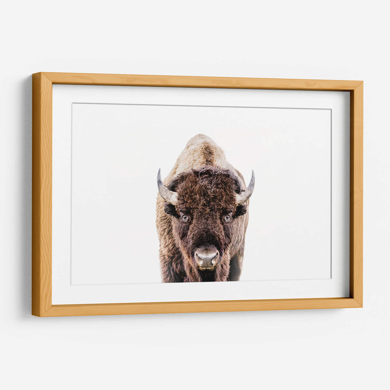 Cuadro decorativo de Canvas Lab