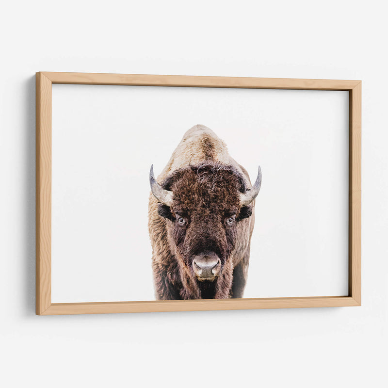 Cuadro decorativo de Canvas Lab