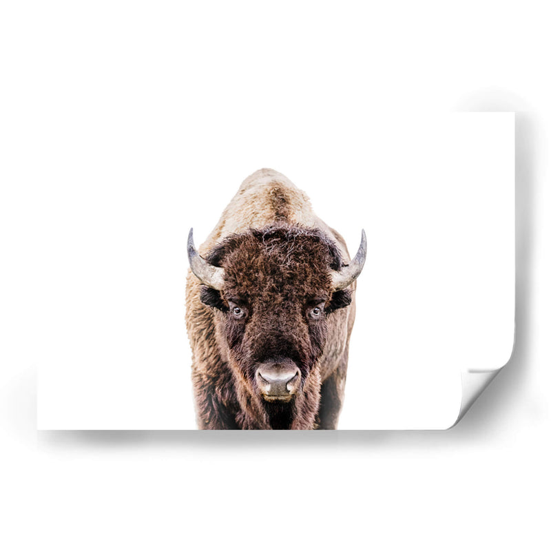 Cuadro decorativo de Canvas Lab