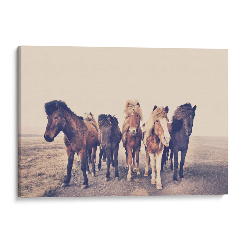 Caballos juntos - Kathrin Pienaar | Cuadro decorativo de Canvas Lab