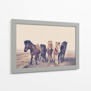 Caballos juntos - Kathrin Pienaar | Cuadro decorativo de Canvas Lab