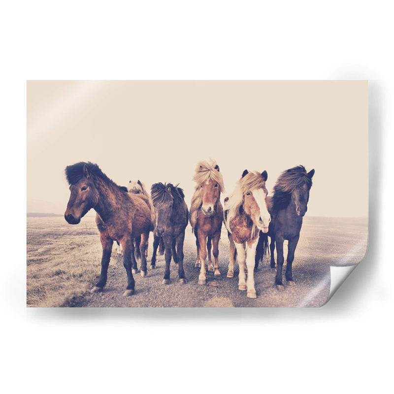 Cuadro decorativo de Canvas Lab