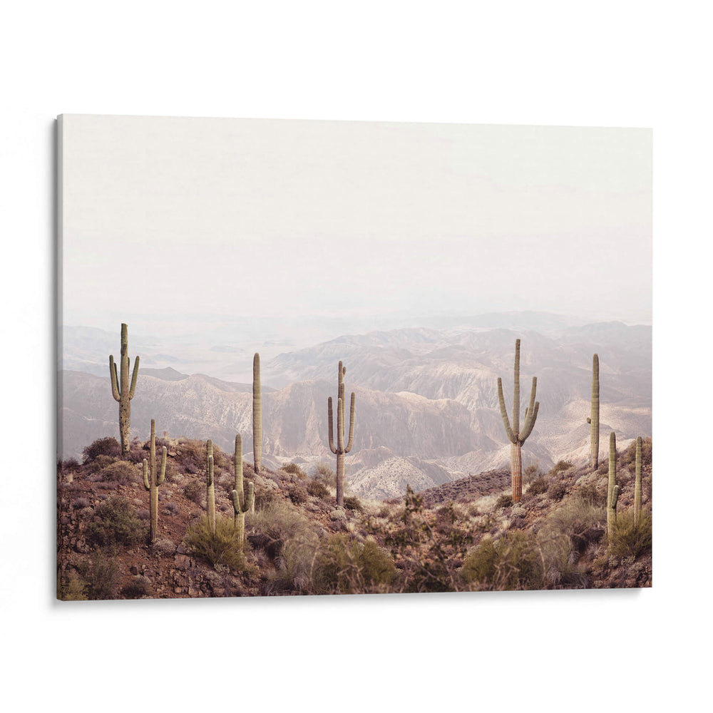 Valle de Arizona - Kathrin Pienaar | Cuadro decorativo de Canvas Lab