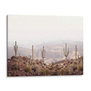 Valle de Arizona - Kathrin Pienaar | Cuadro decorativo de Canvas Lab