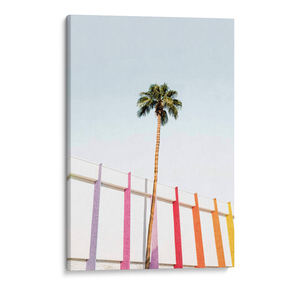 Colores de Palm Spring 2 - Kathrin Pienaar | Cuadro decorativo de Canvas Lab