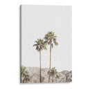 Palmeras de Palm Springs - Kathrin Pienaar | Cuadro decorativo de Canvas Lab
