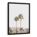 Palmeras de Palm Springs - Kathrin Pienaar | Cuadro decorativo de Canvas Lab