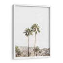 Palmeras de Palm Springs - Kathrin Pienaar | Cuadro decorativo de Canvas Lab
