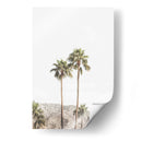 Palmeras de Palm Springs - Kathrin Pienaar | Cuadro decorativo de Canvas Lab