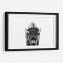 Bisonte Bn - Kathrin Pienaar | Cuadro decorativo de Canvas Lab