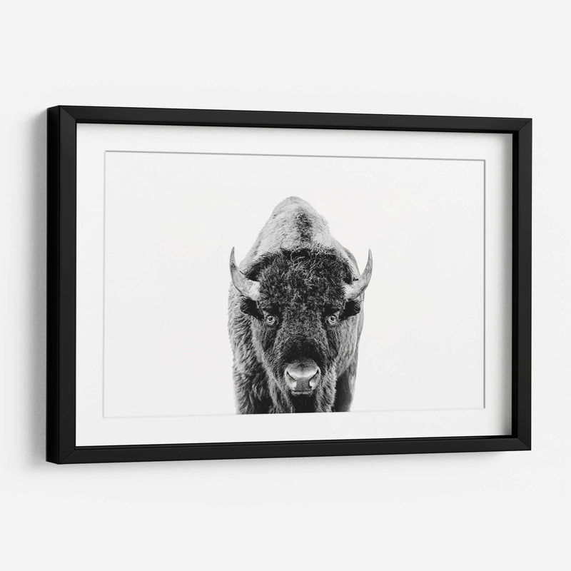 Bisonte Bn - Kathrin Pienaar | Cuadro decorativo de Canvas Lab