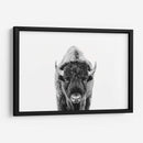 Bisonte Bn - Kathrin Pienaar | Cuadro decorativo de Canvas Lab