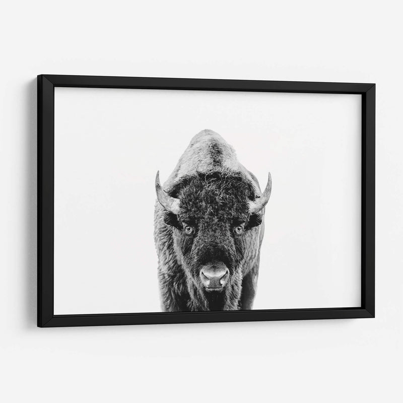 Bisonte Bn - Kathrin Pienaar | Cuadro decorativo de Canvas Lab