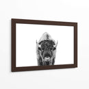 Bisonte Bn - Kathrin Pienaar | Cuadro decorativo de Canvas Lab