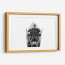 Bisonte Bn - Kathrin Pienaar | Cuadro decorativo de Canvas Lab