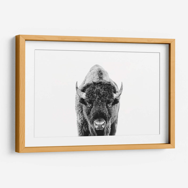 Bisonte Bn - Kathrin Pienaar | Cuadro decorativo de Canvas Lab