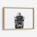 Bisonte Bn - Kathrin Pienaar | Cuadro decorativo de Canvas Lab