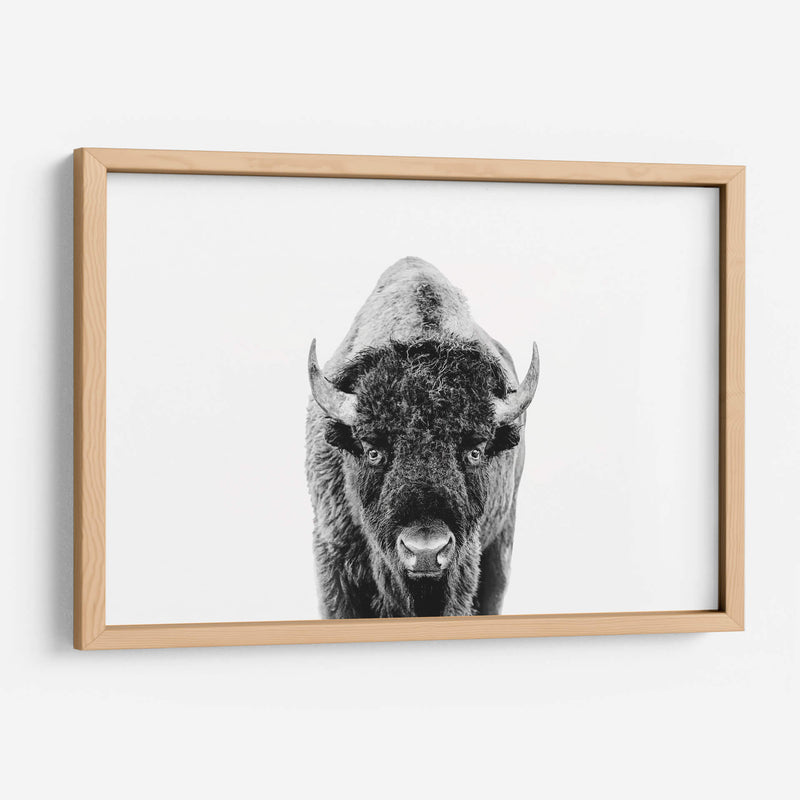Bisonte Bn - Kathrin Pienaar | Cuadro decorativo de Canvas Lab