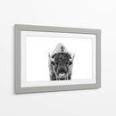 Bisonte Bn - Kathrin Pienaar | Cuadro decorativo de Canvas Lab