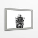 Bisonte Bn - Kathrin Pienaar | Cuadro decorativo de Canvas Lab
