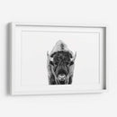 Bisonte Bn - Kathrin Pienaar | Cuadro decorativo de Canvas Lab