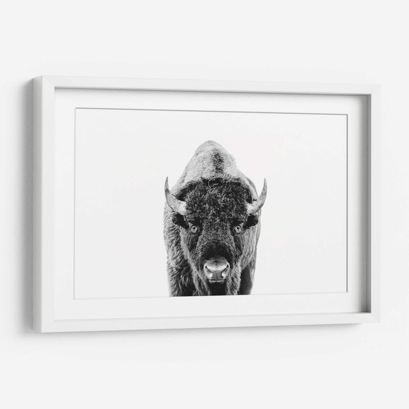 Bisonte Bn - Kathrin Pienaar | Cuadro decorativo de Canvas Lab