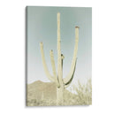 PARQUE NACIONAL SAGUARO Saguaro Gigante Clásico - Melanie Viola | Cuadro decorativo de Canvas Lab