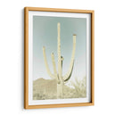 PARQUE NACIONAL SAGUARO Saguaro Gigante Clásico - Melanie Viola | Cuadro decorativo de Canvas Lab