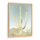PARQUE NACIONAL SAGUARO Saguaro Gigante Clásico - Melanie Viola | Cuadro decorativo de Canvas Lab