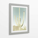 PARQUE NACIONAL SAGUARO Saguaro Gigante Clásico - Melanie Viola | Cuadro decorativo de Canvas Lab