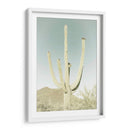 PARQUE NACIONAL SAGUARO Saguaro Gigante Clásico - Melanie Viola | Cuadro decorativo de Canvas Lab