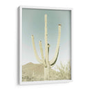PARQUE NACIONAL SAGUARO Saguaro Gigante Clásico - Melanie Viola | Cuadro decorativo de Canvas Lab