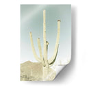 PARQUE NACIONAL SAGUARO Saguaro Gigante Clásico - Melanie Viola | Cuadro decorativo de Canvas Lab