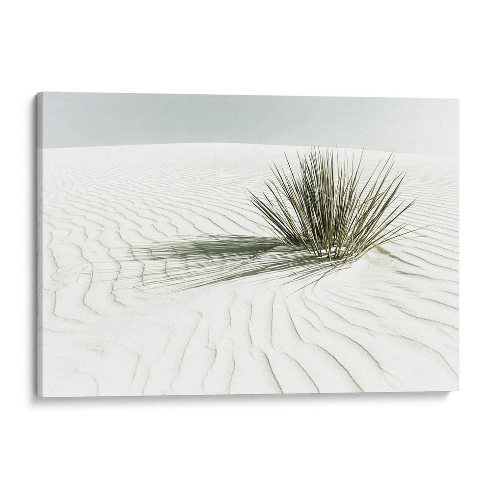 DUNA VINTAGE DE ARENAS BLANCAS - Melanie Viola | Cuadro decorativo de Canvas Lab