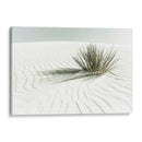 DUNA VINTAGE DE ARENAS BLANCAS - Melanie Viola | Cuadro decorativo de Canvas Lab