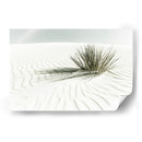 DUNA VINTAGE DE ARENAS BLANCAS - Melanie Viola | Cuadro decorativo de Canvas Lab